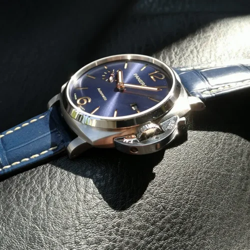 Lever and guard bridge in sunlight, watch photographed low on leather